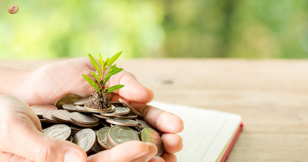 plant growing out of coins to show how investment grows as financial tips for nurses